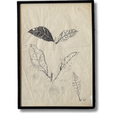 The Leaves