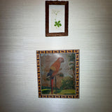 The Macaw