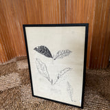 The Leaves