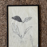 The Leaves