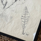 The Leaves