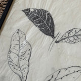 The Leaves