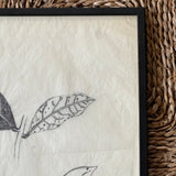 The Leaves