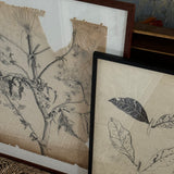 The Leaves