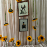 The Indian Paintings, Medium