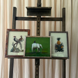 The Indian Paintings, Medium