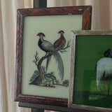 The Indian Paintings, Medium