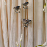 The Delphine Set