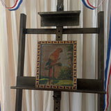 The Macaw