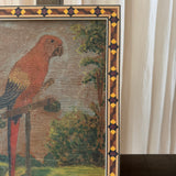 The Macaw