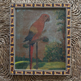 The Macaw