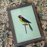 The Beaux Indian Paintings, Large