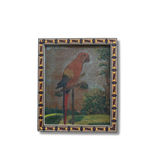 The Macaw