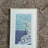 The Cliffs and Birds