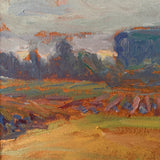 The Summer Fields