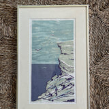 The Cliffs and Birds