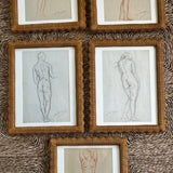 The Nude, V