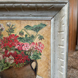 The Geraniums
