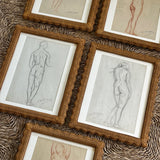 The Nude, V