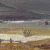 The Snowy Wilderness