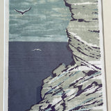 The Cliffs and Birds