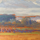 The Summer Fields