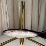 The Beaux Sardine