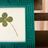 The Four-Leaf Clover