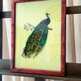 The Beaux Indian Paintings, Large