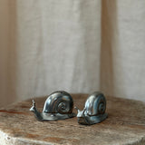 The Snail Shakers