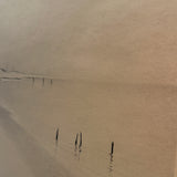 The Snow Lake, 1949