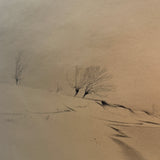 The Snow Lake, 1949