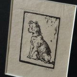 The Wire-Haired Terrier