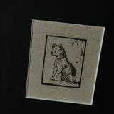 The Wire-Haired Terrier