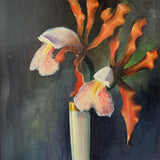 The Tropicals