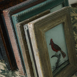 The Beaux Indian Paintings, Small