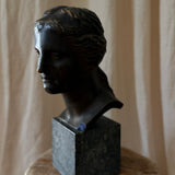 The Bust