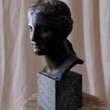 The Bust