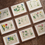 The Field Notes, Series of 9, Early 1900s