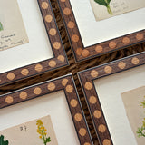 The Field Notes, Series of 8, Early 1900s