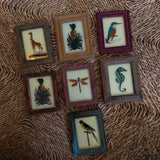 The Beaux Indian Paintings, Baby
