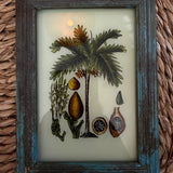 The Beaux Indian Paintings, Small