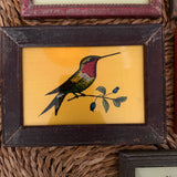 The Beaux Indian Paintings, Small