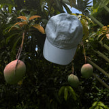 The Beaux Hat