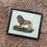 The Indian Paintings, Medium