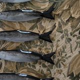 The Beaux Sardine