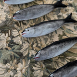 The Beaux Sardine
