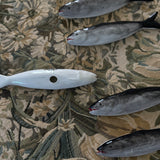 The Beaux Sardine