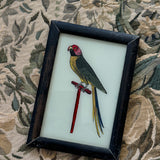 The Beaux Indian Paintings, Small