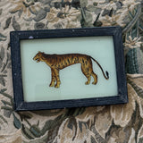 The Beaux Indian Paintings, Small